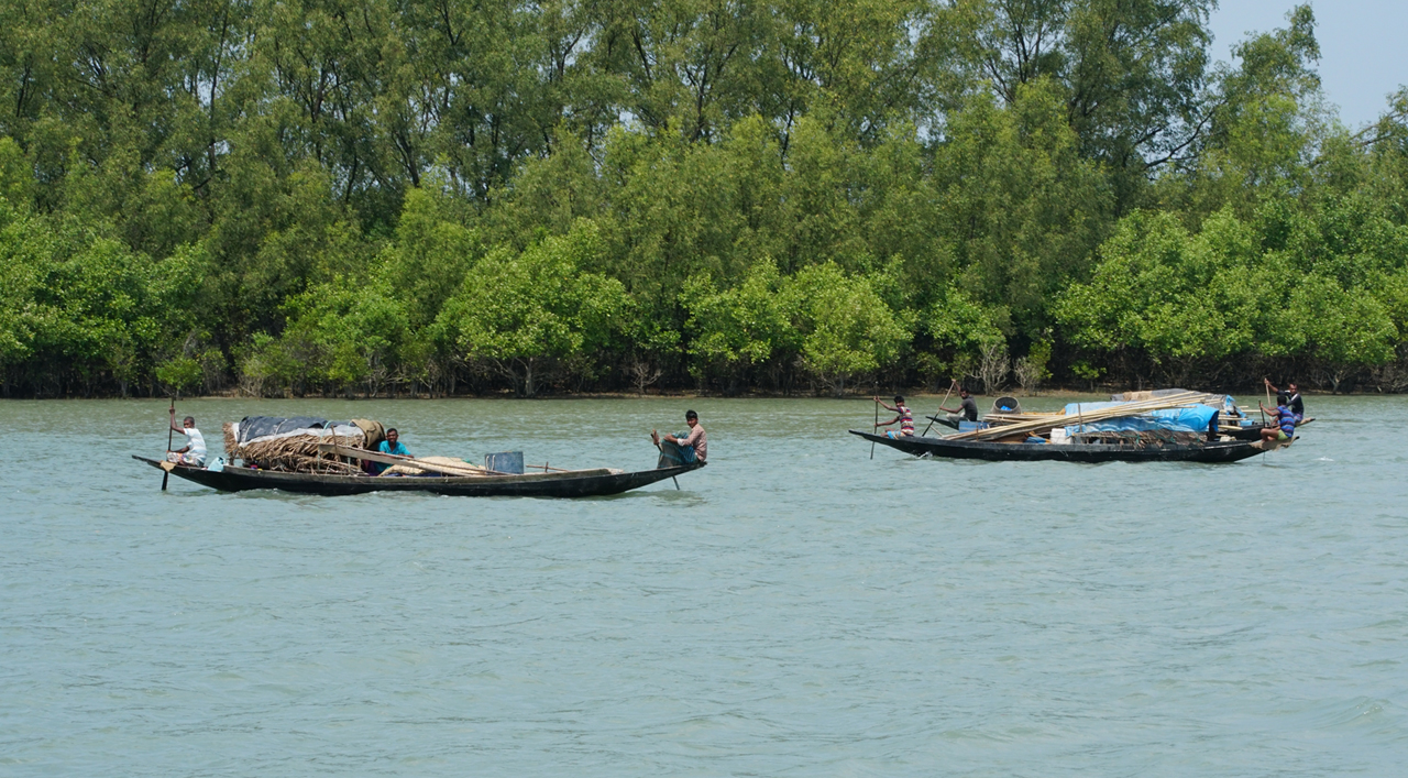 Fishers and honey collectors in the Sundarbans